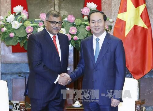 Vietnam und Singapur wollen Zusammenarbeit in der Justizreform stärken - ảnh 1